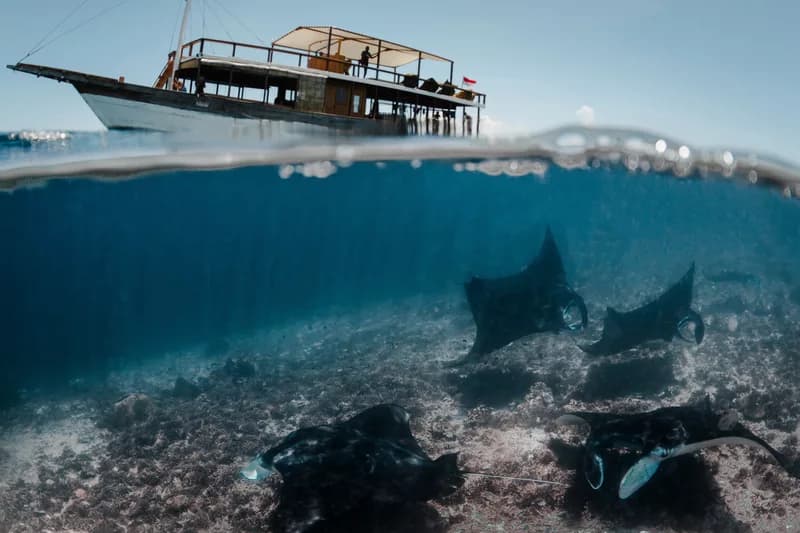 Manta Rhei dive school in Komodo