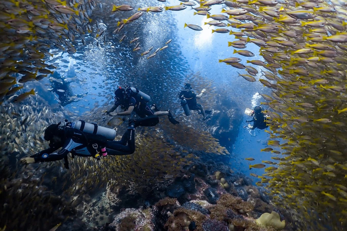 Big Blue Diving - Image 3